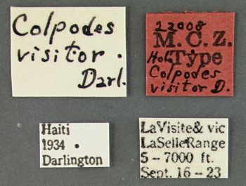 Media type: image;   Entomology 22008 Aspect: labels